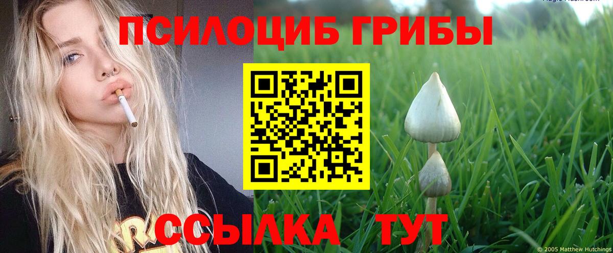 как найти закладки  Псилоцибиновые грибы ЛСД  Вход с VPN  Елец  Галлюциногенные грибы мухоморы 