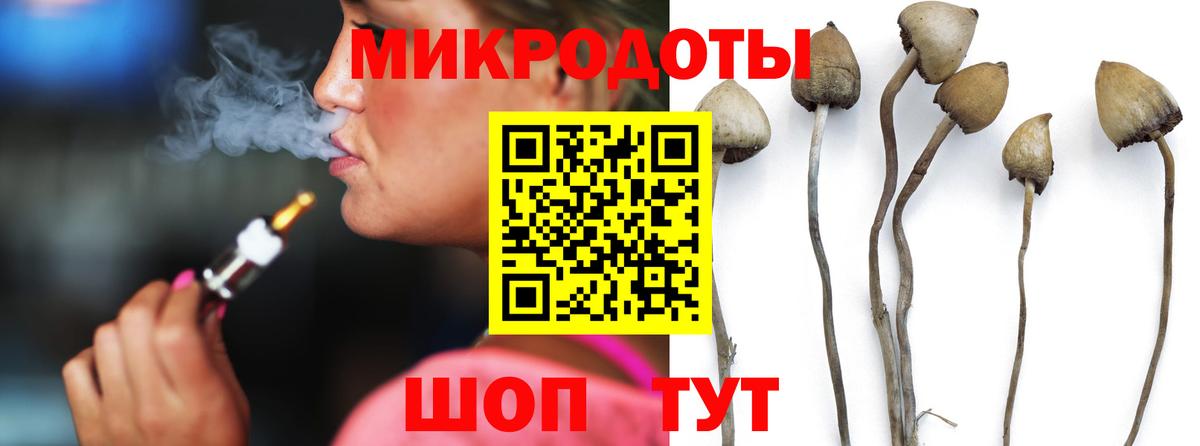Псилоцибиновые грибы Magic Shrooms Елец